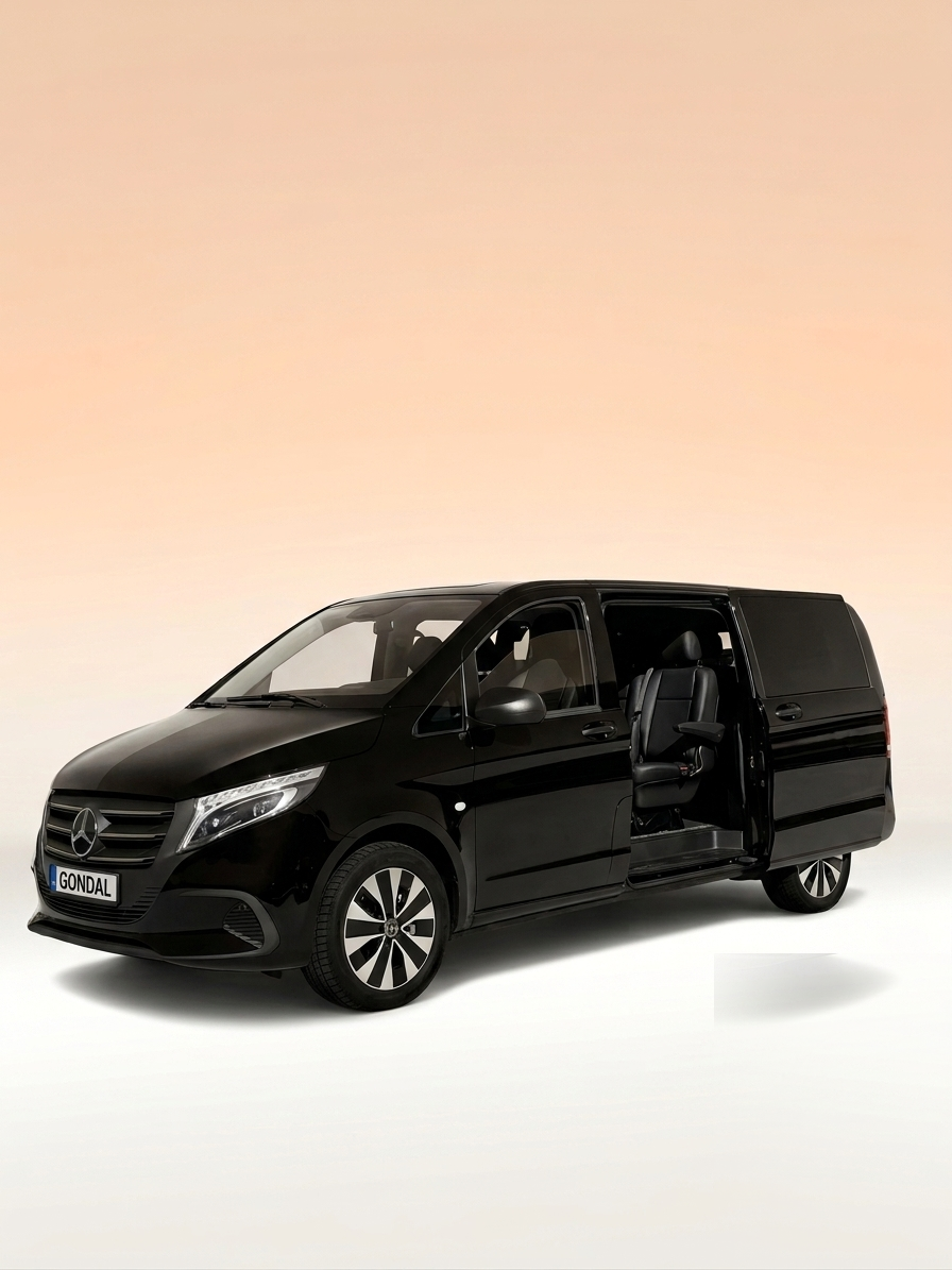 Mercedes Van o. ä.